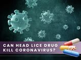 COVID-19: Head Lice Drug For Treating Coronavirus