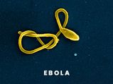 Can Ebola Virus Disease Be Prevented?
