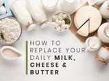 Skip The Dairy: A List Of Non-dairy Substitutes For Your Daily Milk, Butter, Cheese & More
