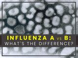 Influenza Type A And B: Differences, Symptoms, Treatment And Prevention
