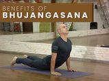 Bhujangasana (Cobra Pose) For Instant Energy, Belly Fat And Respiratory Ailments