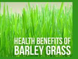 16 Amazing Health Benefits Of Barley Grass
