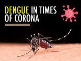 Dengue In Times Of Corona - A Double Whammy!