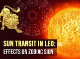Sun Transit In Leo 2020: In What Ways It Will Affect Different Zodiac Signs