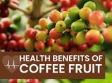 What Is Coffee Fruit (Coffee Berry)? Its Health Benefits, Side Effects And Ways To Use