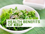 Kelp: Nutrition, Health Benefits And How To Eat