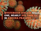 Eluru Mystery Illness: Chemical Residues Found In Rice And Vegetables; Animal Samples Tested