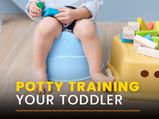 Tips For Potty Training: Boys vs Girls, Potty-Training Age And How To Potty Train