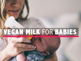 Plant-based/Vegan Milk For Babies: Is It Healthy? Can It Aid Child’s Development?