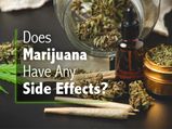 How Marijuana Or Pot Affects Your Body And Mind