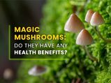 Magic Mushrooms: Do They Have Any Health Benefits?