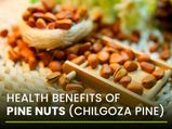 Amazing Health Benefits Of Pine Nuts (Chilgoza Pine Nuts)