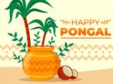 Pongal: Know About The 4-Day Festival Celebration In Tamil Nadu In January