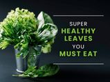All The Leaves You Can Eat: A Complete Guide To Edible Healthy Leaves