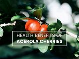 Health Benefits Of Acerola Cherries, A Powerhouse Of Vitamin C