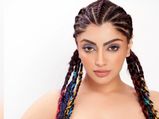 Hairstyle Alert! Akanksha Puri Steals The Limelight With Her Stylish And Fancy Colourful Braids; Copy It Now!