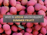 Why Is Litchi Considered An Excellent Summer Fruit? Know More About Refreshing Litchi Recipes