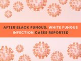White Fungus Infection: Causes, Symptoms, Black Fungus Vs White Fungus