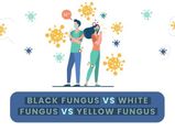 Black Fungus Vs White Fungus Vs Yellow Fungus: Everything You Need To Know