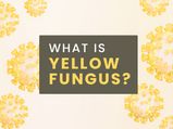 What Is Yellow Fungus Infection? Causes, Symptoms, Complications, Treatments And Other Details