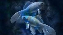 Pisces Monthly Horoscope of February 2022