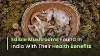 Types Of Edible Mushrooms Found In India With Their Health Benefits