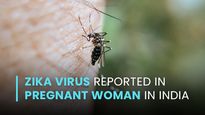 Zika Virus Reported In Pregnant Woman In India: Know Its Causes, Symptoms And Treatments