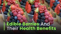 22 Edible Berries To Add To Your Diet With their Health Benefits
