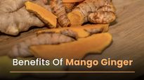 Health Benefits Of Mango Ginger And Its Uses: How Is It Different From Ginger?