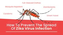 How To Prevent The Spread Of Zika Virus Infection