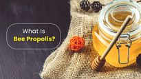 What Is Bee Propolis? Nutrients, Health Benefits, Side Effects And Usages