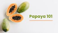 Papaya 101: Everything You Need To Know About The Fruit