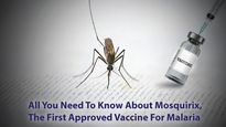All You Need To Know About Mosquirix, The First Vaccine For Malaria Approved By The WHO