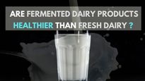 Are Fermented Dairy Products Such As Yoghurt, Curd Healthier Than Fresh Dairy? 