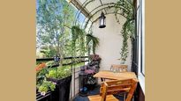 Expert Advice On Gardening: How To Decorate Small Balcony With Hanging Pots And Ladder Plants