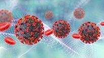 Omicron Coronavirus Variant Linked With High Risk Of Reinfection: Study