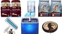 Amazon Sale: Water Feeder, Stainless Steel Feeding Bowl And More, Get Up To 50% Off On Pet Supplies