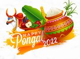 Pongal 2022: Date, Rituals And Significance Of This January Festival