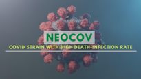 NeoCov: Wuhan Scientists Warn of New Coronavirus Strain With High Death, Infection Rate
