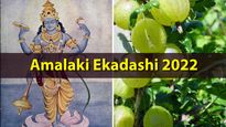 Amalaki Ekadashi 2022: Date, Time, History And Significance 