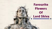 Mahashivratri 2022: Benefits Of Offering Lord Shiva His Favourite 15 Flowers With Devotion  