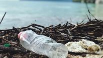 Disease-Causing Parasites Can Hitch A Ride On Plastics And Potentially Spread Through The Sea, New Research