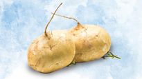 Managing Diabetes To Reducing Weight, Some Amazing Health Benefits Of Jicama