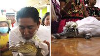 Sealed With A Kiss: Mexican Mayor Marries Alligator Bride To 'Bring Abundance To The Village'