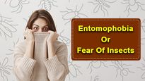Entomophobia Or Fear Of Insects: Causes, Symptoms, Risk Factors And Treatments