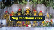 Nag Panchami 2022: Why Do People Offer Milk To Snakes On This Day
