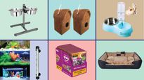Top Offers On Pet Supplies: Buy Useful Pet Products At Incredible Discounts Of Up To 75% Off, Only At Amazon