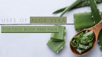 13 Uses Of Aloe Vera For Face, Body And Hair; How To Extract Aloe Vera Gel?