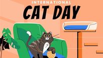 International Cat Day: Myths About Cats You Need To Stop Believing 