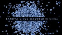Langya Virus Reported In China Causes Liver, Kidney Failure: Symptoms, Transmission And Its Link To Nipah